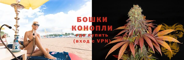 молекула духа Киреевск