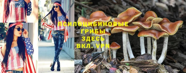 ECSTASY Карталы