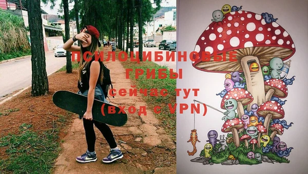 соль ск Карпинск