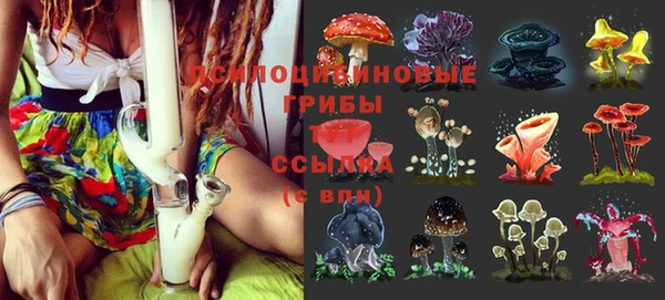 соль ск Карпинск