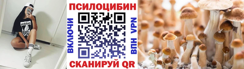 Галлюциногенные грибы MAGIC MUSHROOMS  Купить где  Вельск 