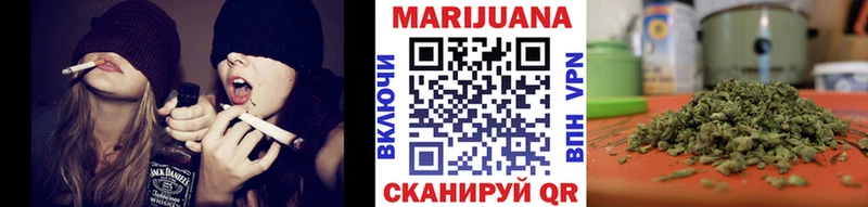 Купить закладки  Вельск  МАРИХУАНА SATIVA & INDICA 